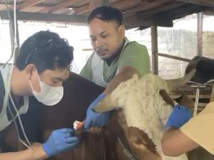 Kisah Alumnus Unair Banyuwangi yang Sukses Buka Klinik Hewan hingga Brunei