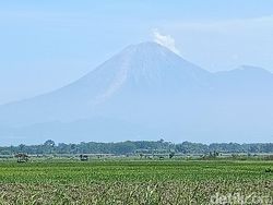 Gunung Semeru Luncurkan 5 Kali Lava Pijar, Jarak Luncur Capai 2 Km