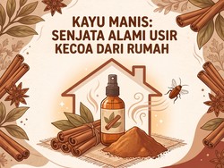 Infografis: Rumah Banyak Kecoa? Coba Pakai Kayu Manis, Begini Caranya
