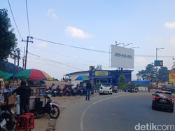 Usai Ratusan Kios Dibongkar, Giliran Starling Padati Puncak Cianjur