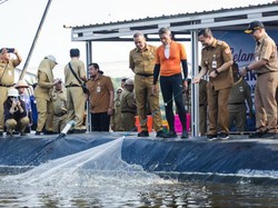 Sukses Panen Udang, Pemprov Jateng Buktikan Teknologi Closed System