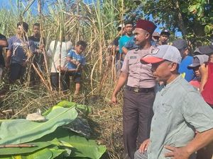 Petani Tewas Saat Bakar Lahan Tebu di Mojo Kediri, Sempat Diingatkan Warga