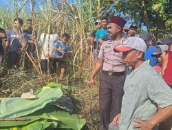 Petani Tewas Saat Bakar Lahan Tebu di Mojo Kediri, Sempat Diingatkan Warga