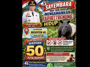 Duh! Gubernur Malah Bikin Sayembara Tangkap Tapir Hidup-hidup, Hadiahnya Rp50 Juta