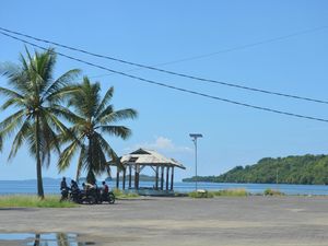 Teluk Buyat, Banyak Organisme Laut Unik dan Menarik