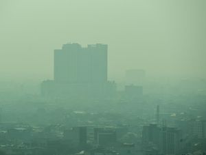 Video IDAI: 13,3% Anak yang Tampak Sehat Alami Penurunan Paru-paru