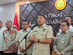 Alasan Harga Ayam di Peternak Dipatok Paling Murah Rp 19.500/Kg