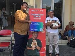 Messi Asal Jogja Jadi Kucing Pertama Pemilik Kartu Anggota Muhammadiyah