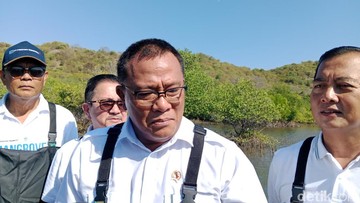 Potensinya Besar, Kawasan Industri Bisa Dapat Cuan Tambahan Pakai Cara Ini
