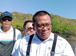 Darurat Karhutla, Menteri LH Teken Larangan Buka Lahan dengan Cara Dibakar