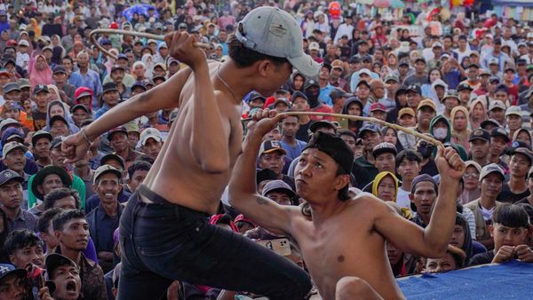 Sabet Rotan Demi Tradisi, Ojung Kembali Meriahkan Lumajang