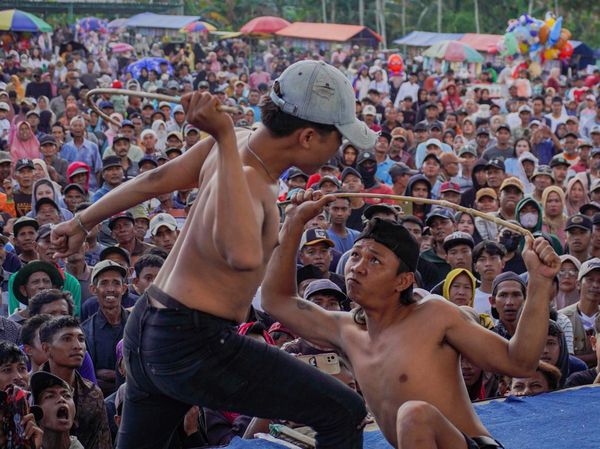 Sabet Rotan Demi Tradisi, Ojung Kembali Meriahkan Lumajang