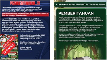 Sayembara Tangkap Tapir Hidup-hidup di Mesuji Berhadiah Rp 50 Juta Dibatalkan