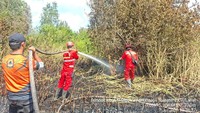 2 Hektare Lahan Terbakar di Muara Enim Berhasil Padam, Tim Bergeser ke Titik Baru