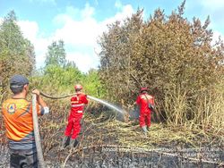 2 Hektare Lahan Terbakar di Muara Enim Berhasil Padam, Tim Bergeser ke Titik Baru