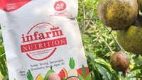 Tak Perlu Lahan Luas, Ini Cara Berkebun dari Rumah