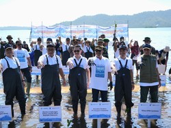 Freeport & Kementerian Lingkungan Hidup Tanam 1,5 Juta Mangrove di NTB