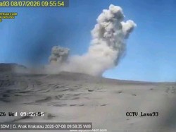 Gunung Anak Krakatau Erupsi Pagi Ini, Kolom Abu 100 Meter
