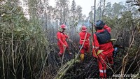 Belasan Hektare Lahan di Ogan Ilir dan OKI Terbakar