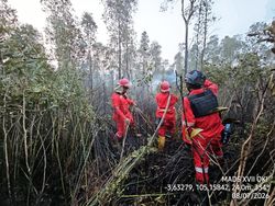 Belasan Hektare Lahan di Ogan Ilir dan OKI Terbakar