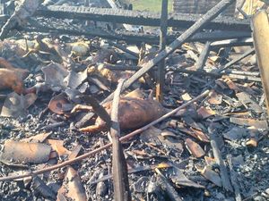 Kandang di Brebes Terbakar, 25 Kambing Mati Terpanggang