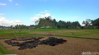 Sungai Menyusut, Irigasi Rusak, Petani Tasik Diminta Ubah Pola Tanam