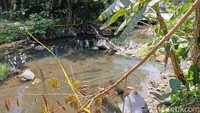 Benda Diduga Mortir Ditemukan Pemancing di Kota Blitar