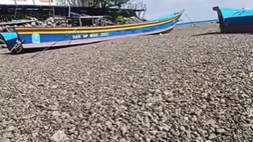 Viral Perairan di Papua Dipenuhi Batu Apung, BMKG: dari Gunung Api Bawah Laut