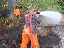 Kemarau Masih Panjang, BPBD Kobar Siaga Karhutla Meski Laporan Menurun
