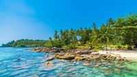 Berenang Bareng Ubur-ubur Tanpa Sengat di Pulau Kakaban Kalimantan