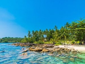 Berenang Bareng Ubur-ubur Tanpa Sengat di Pulau Kakaban Kalimantan
