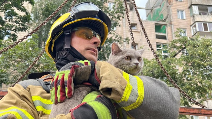 Rusia Bombardir Kyiv Ukraina A rescuer holds a cat, whose name is Bonia, found under debris in the apartment building hit by yesterdays Russian missile strike, amid Russias attack on Ukraine, in Kyiv, Ukraine July 7, 2026. REUTERS/Sergiy Karazy