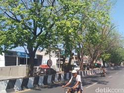 Misteri Angin Kencang Majalengka, Tak Ada Laut, tapi Hembusannya Dahsyat