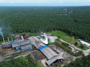 Agrinas Palma Nusantara Bukukan Surplus Operasional Rp 2,86 T pada 2025