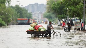 Banjir Kepung New Delhi! Jalanan Berubah Jadi Sungai, Warga Tetap Beraktivitas