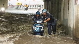 Cuaca Ekstrem Picu Banjir dan Pohon Tumbang di New Delhi India