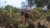 Karhutla Kepung Kobar! 8 Hektare Terbakar di 6 Lokasi dalam 2 Hari