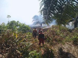 Karhutla Kepung Kobar! 8 Hektare Terbakar di 6 Lokasi dalam 2 Hari