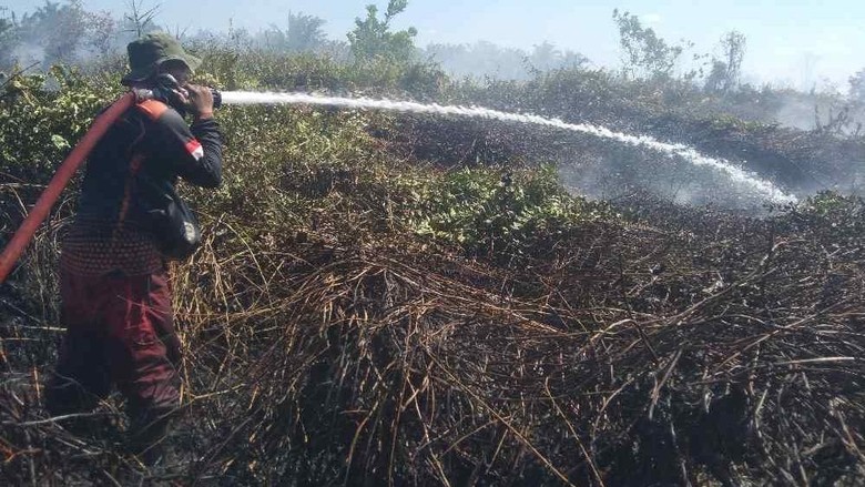 Jika Karhutla Kobar Makin Mengkhawatirkan, Status Tanggap Darurat Jadi Opsi