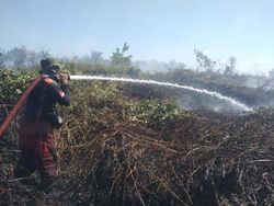 Karhutla di Kobar Kalteng, 8 Hektar Lahan Hangus Terbakar dalam 2 Hari