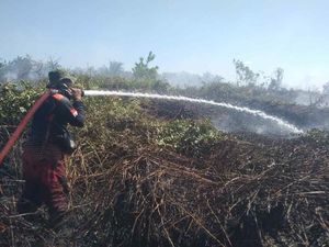 Karhutla di Kobar Kalteng, 8 Hektar Lahan Hangus Terbakar dalam 2 Hari