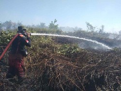 Karhutla di Kobar Kalteng, 8 Hektar Lahan Hangus Terbakar dalam 2 Hari