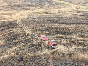 1.956 Hektare Savana TN Tambora Terbakar, Kemenhut Turun Tangan