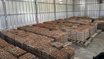 Napi Raup Rp 800 Ribu Per Bulan dari Hasil Urus Ternak di Lapas Ciangir