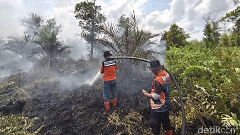 Antisipasi Karhutla, Bupati Pulpis Minta Sumur Bor Permanen ke Menhut