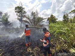 Antisipasi Karhutla, Bupati Pulpis Minta Sumur Bor Permanen ke Menhut