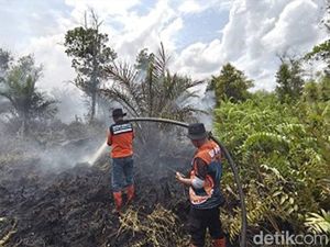 Karhutla di Tumbang Nusa Belum Padam, 31,5 Hektare Lahan Hangus