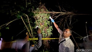 Tragis! Pria 42 Tahun Tewas Jatuh dari Pohon Lontar di Karangasem