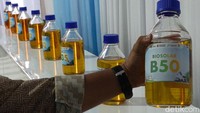 Kata Gaikindo Soal Keamanan Mesin Diesel Tenggak B50