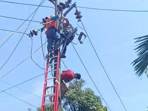 Aksi Spider-Man Panjat Tiang Listrik: Gagal Curi Kabel-Tersetrum